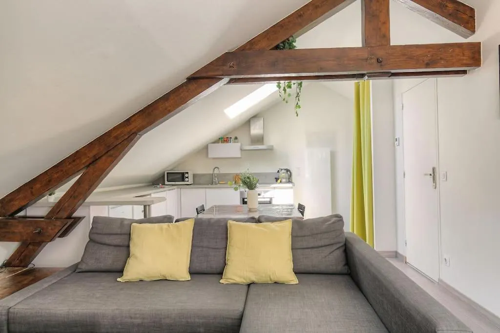 Loft Charmant Dans Maison De Ville, Villeurbanne