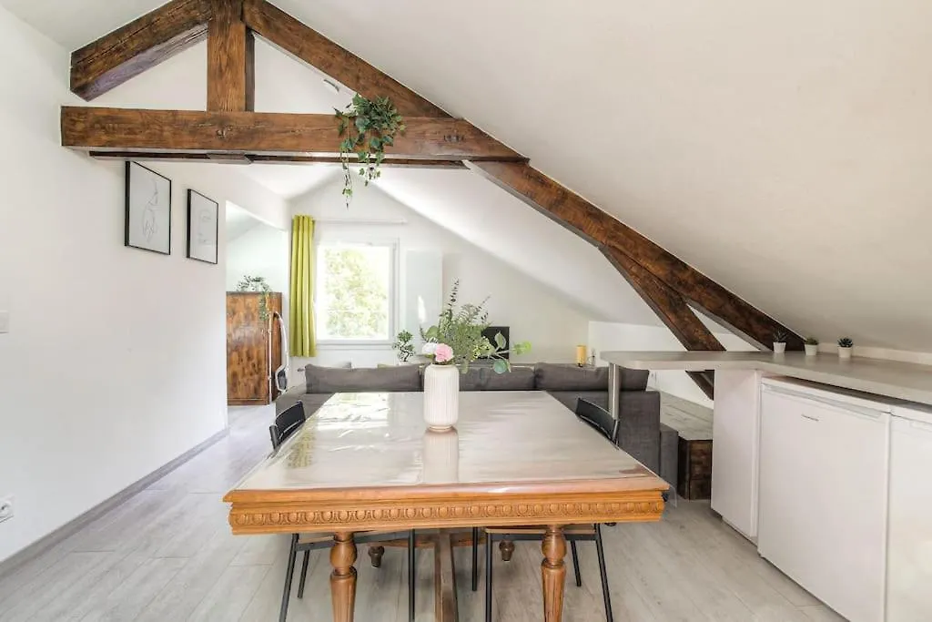 Loft Charmant Dans Maison De Ville, Villeurbanne Apartment