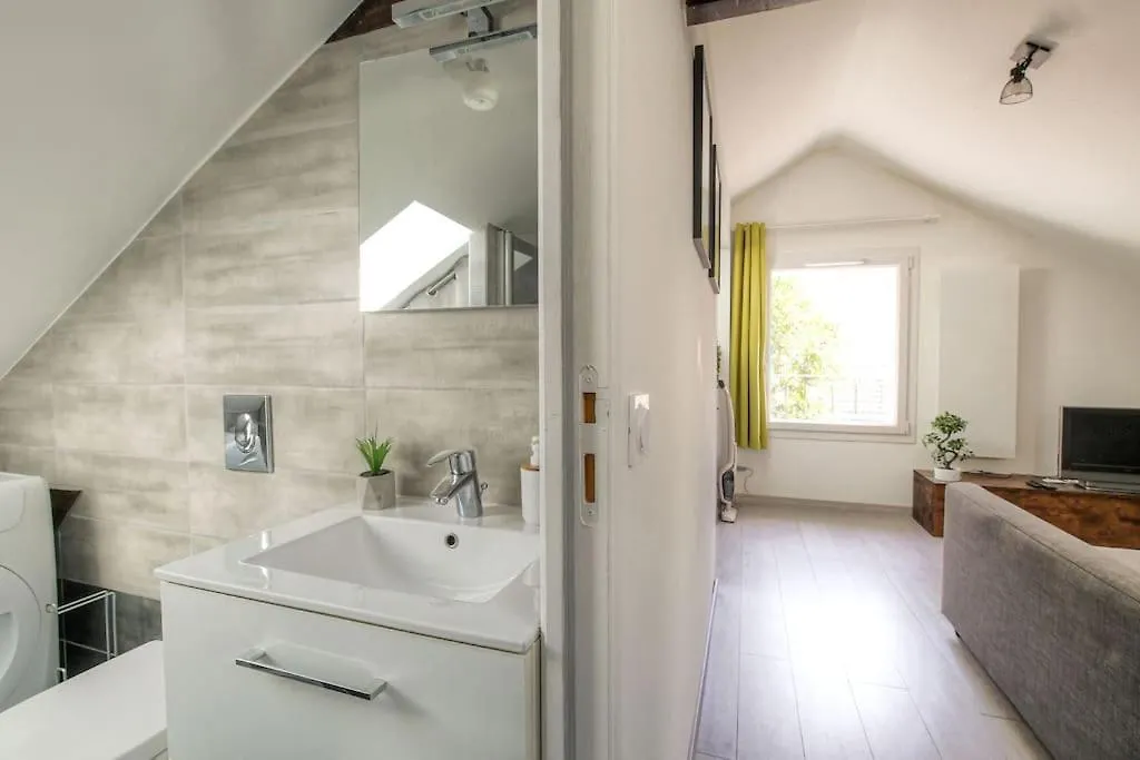 Apartment Loft Charmant Dans Maison De Ville, Villeurbanne France