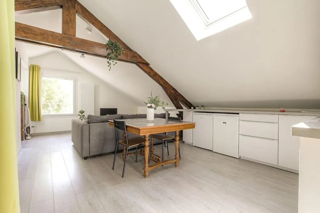 Apartment Loft Charmant Dans Maison De Ville, Villeurbanne France