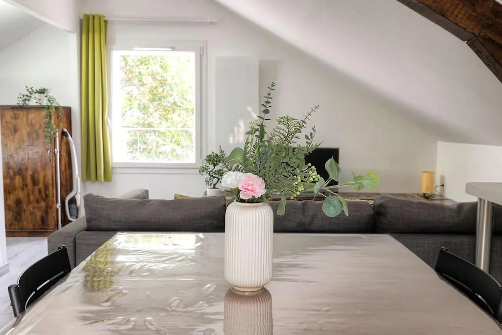 Loft Charmant Dans Maison De Ville, Villeurbanne Apartment