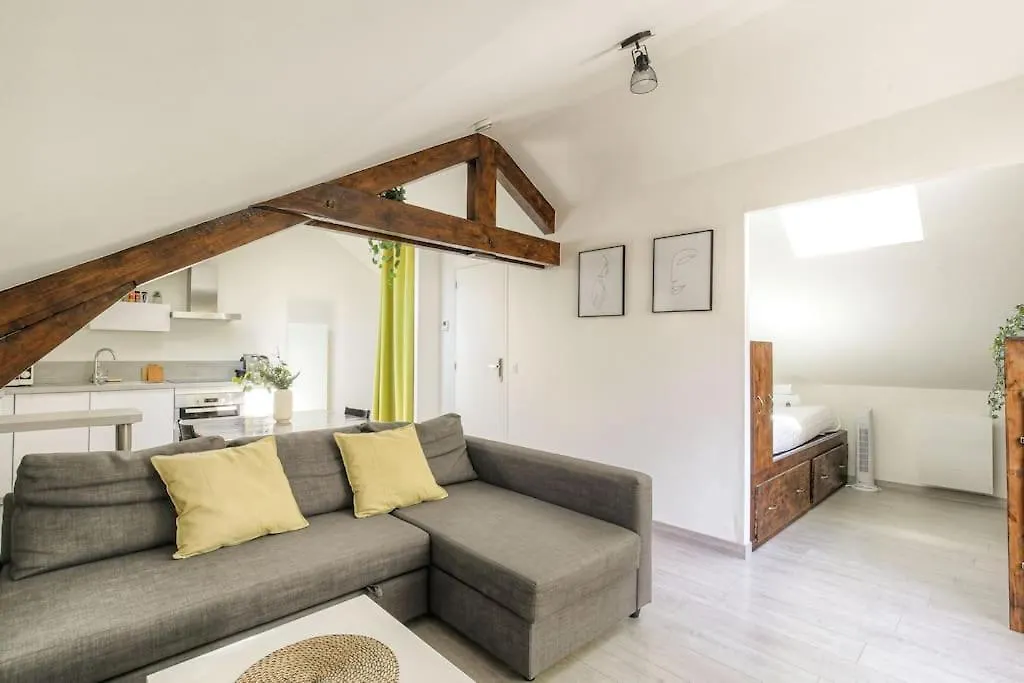 Loft Charmant Dans Maison De Ville, Villeurbanne