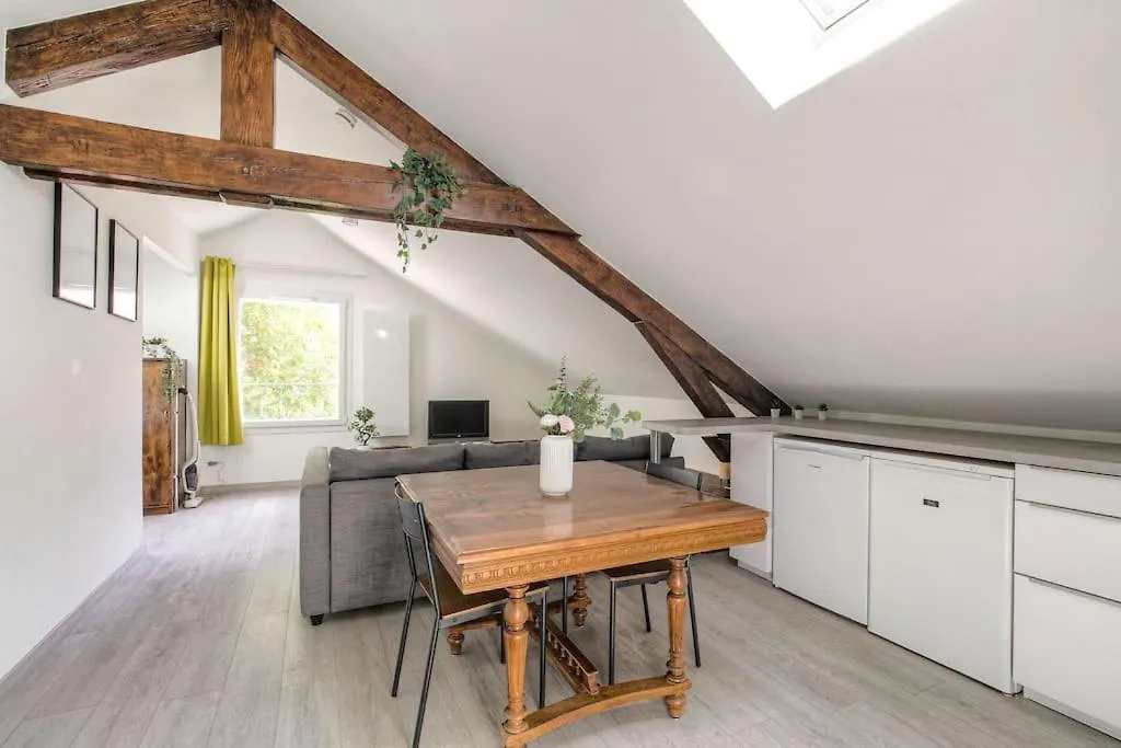 Loft Charmant Dans Maison De Ville, Villeurbanne France